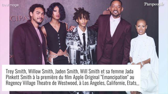 Will Smith : Premier tapis en famille depuis la gifle, sa fille Willow surprend dans un style gothique