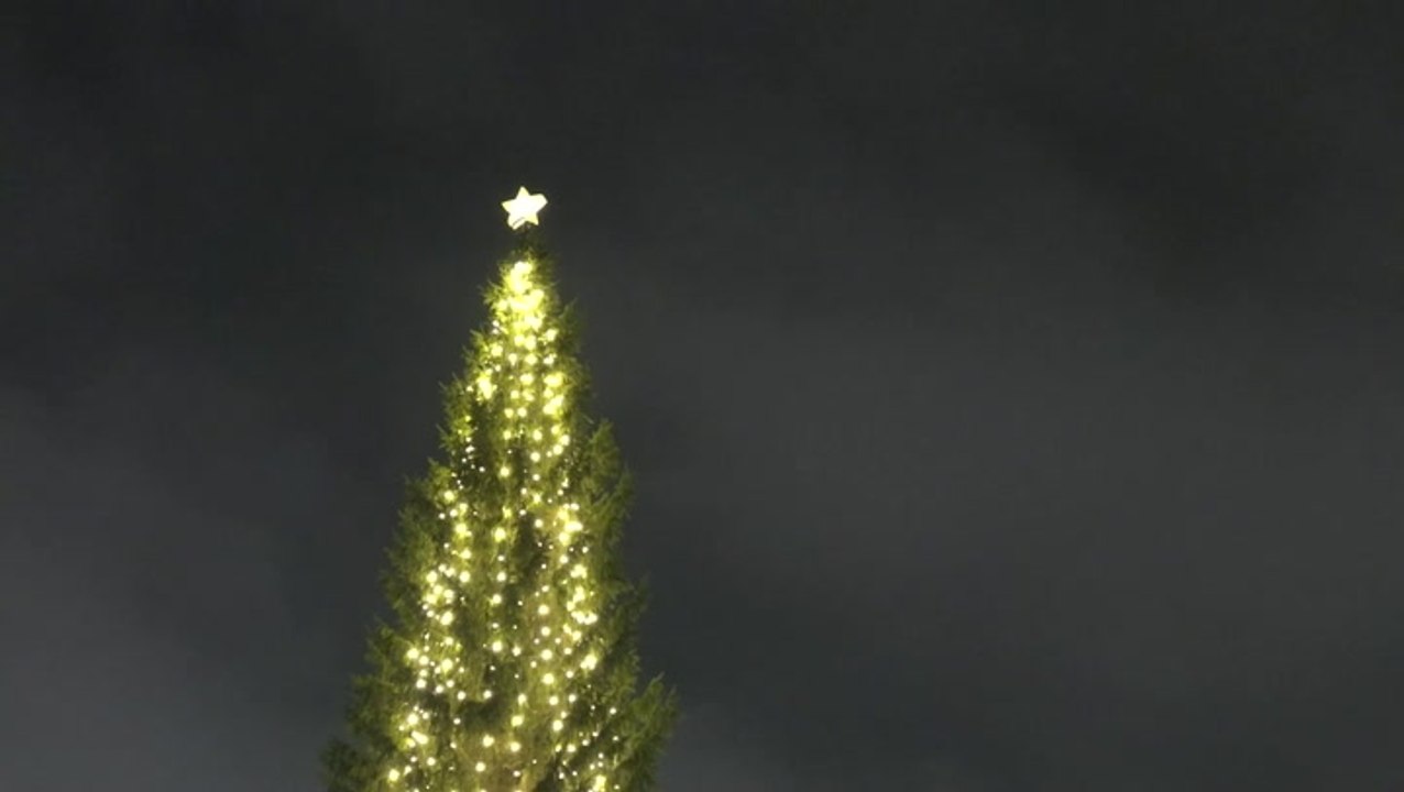 Trafalgar Square Christmas tree lit up in festive ceremony