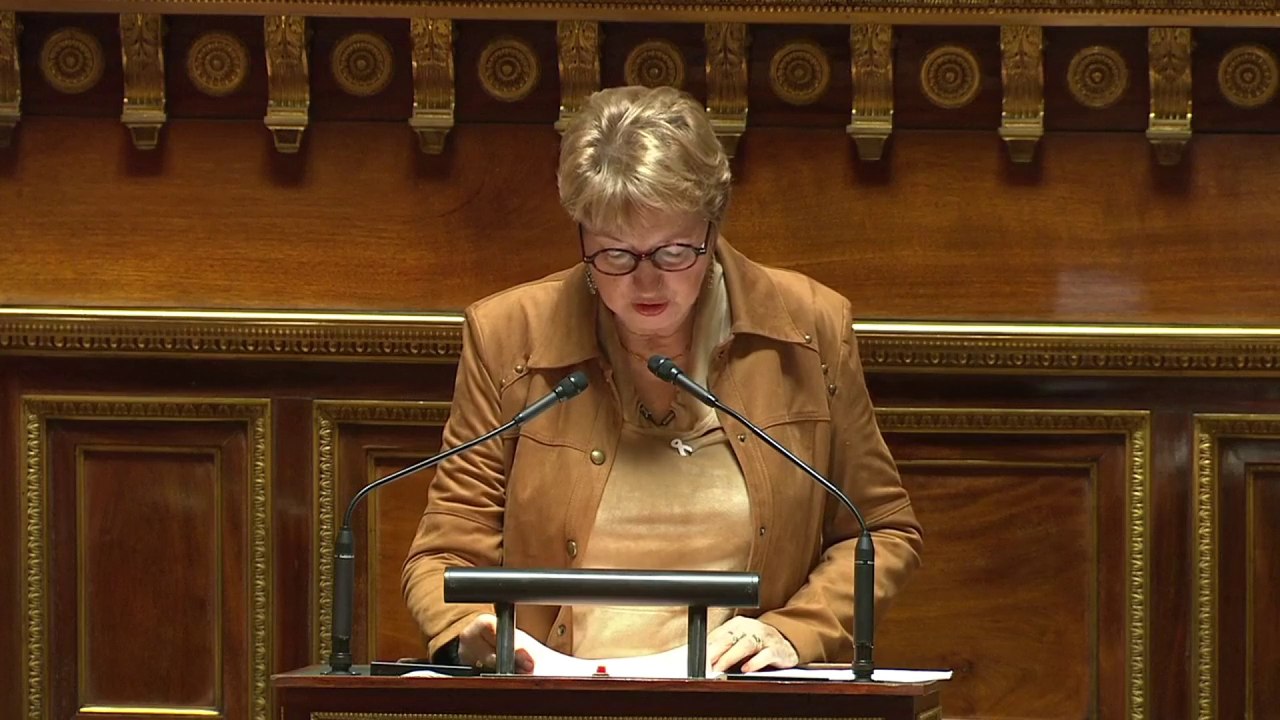 Marie-Pierre Monier (PS) dénonce le "travailler plus pour gagner plus" proposé aux enseignants