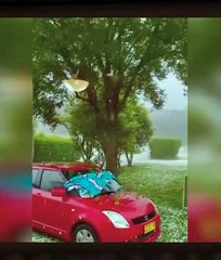 A sudden hail of the apocalypse smashed people's property in New South Walls! People are in tears!