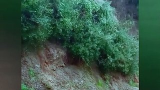 Calabria today! Heavy rain and flash floods turns Italy into rivers of mud
