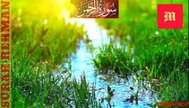 surah rahman-Surah Rehman with urdu translation-surah rahman tarjuma ke sath