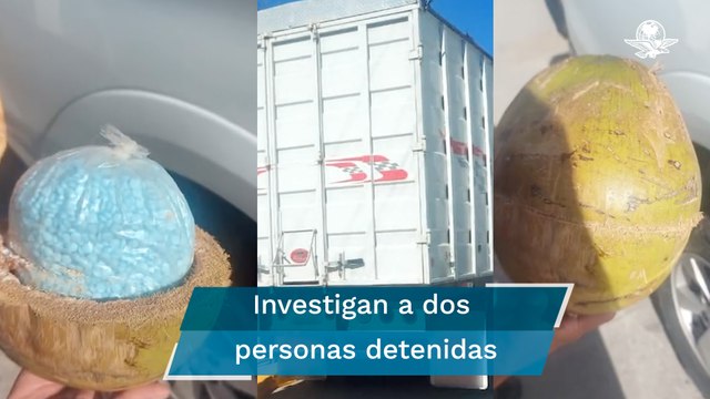 Incauta FGR 300 kilos de fentanilo; estaban ocultos en cocos que transportaba un camión