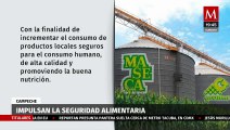 Gruma y el Centro Internacional de Maíz y Trigo impulsan la seguridad alimentaria en Campeche