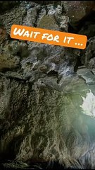 This Tasmanian Cave has a Beautiful Secret