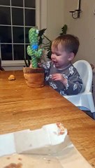 Baby Screams at Dancing Cactus