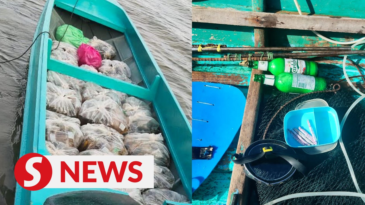 MMEA thwarts two illegal activities in Semporna waters