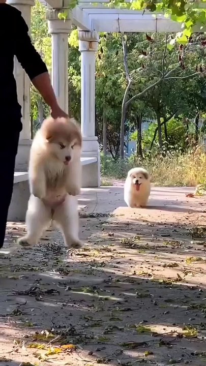Wait For Me