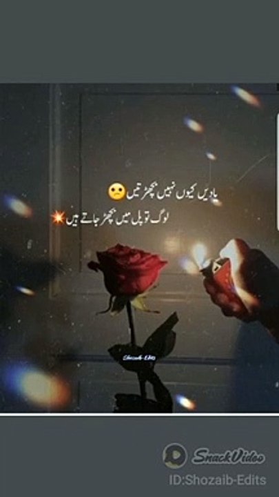 Sad Poetry Lines - Best Poetry Lines Of 2022 - #foryou #viralvideo #dailymotionviral #hitvideos #bestof2022