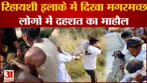 Kanpur Dehat : रिहायशी इलाके में पहुंचा मगरमच्छ, लखनऊ से पहुंची विशेष टीम ने पकड़ा