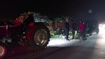 Traktör römorkuna çarpan hafif ticari araçtaki 2 kişi yaralandı