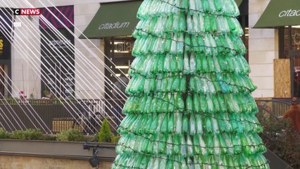 Bordeaux : Un sapin de Noël écologique
