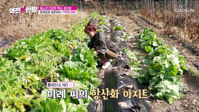 암 발병 후 항산화 전도사 된 그녀의 사연 TV CHOSUN 20221202 방송