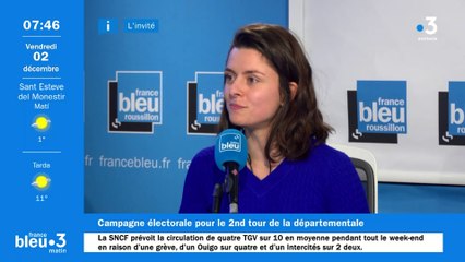 Cantonale partielle Perpignan-Canohès : les noms d'oiseau fusent avant le second tour