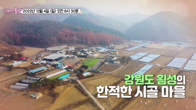 가엾고 어여쁜 내 사랑_엄마의 봄날 377회 예고 TV CHOSUN 221204 방송