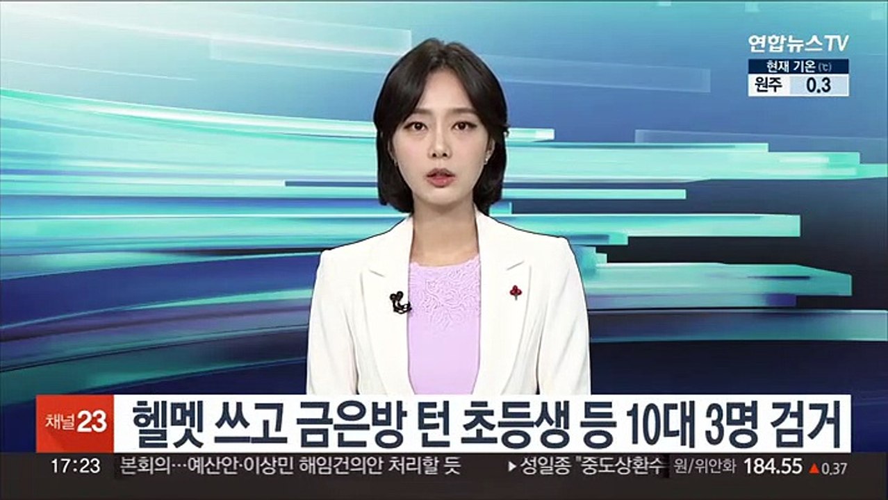 헬멧 쓰고 금은방 턴 초등생 등 10명 3명 검거