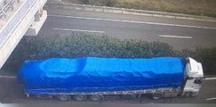 Şanlıurfa'da sahte plakalı tırla fabrikadan 27 ton iplik çalan 3 şüpheli tutuklandı