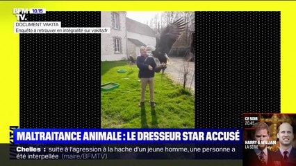 Descargar video: Le dresseur star Pierre Cadéac accusé de maltraitance animale