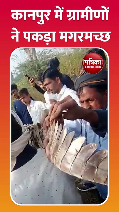 ग्रामीणों ने पकड़ा मगरमच्छ, मचा हड़कंप