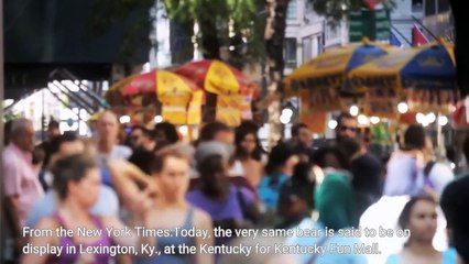 Here's the horrifying trailer for Cocaine Bear and the true story that