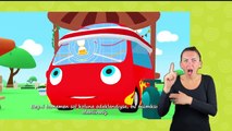 DENGE - Kukuli _ İşaret Dili ile Çocuk Çizgi Filmleri