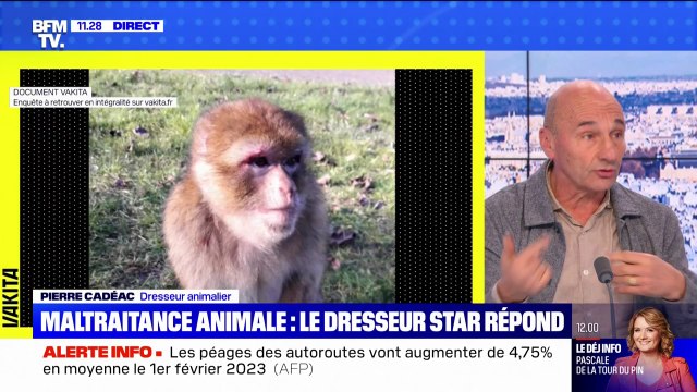 Pierre Cadéac accusé de maltraitance animale: le dresseur se défend de s'en être pris à un singe