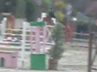 Concour Obernai 16Mars08Fionnier club1