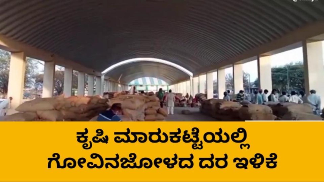 ಗದಗ: ಕೃಷಿ ಮಾರುಕಟ್ಟೆಯಲ್ಲಿ ಗೋವಿನಜೋಳದ ದರ ಇಳಿಕೆ