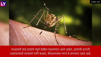 कोरोना, गोवरनंतर Japanese Encephalitis या आजाराने वाढवली चिंता, पुण्यात आढळला एक रुग्ण