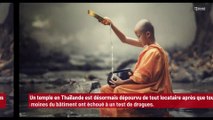 Thaïlande : un temple laissé vacant après que tous les moines ont échoué à un test de drogues !