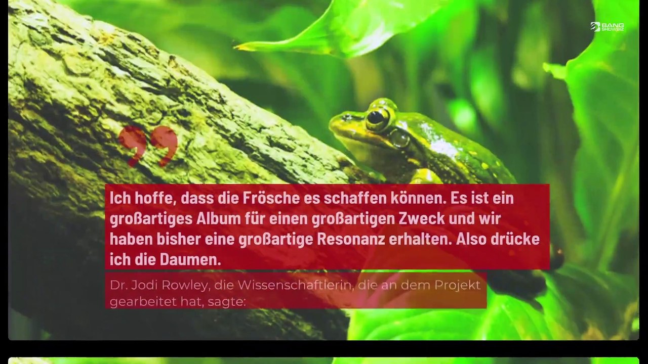 Australien: Frösche wollen Taylor Swift von der Spitze der Charts räumen