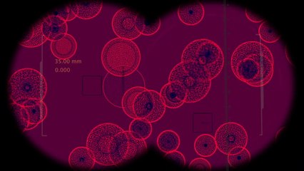 La resistenza agli antibiotici resta elevata ma è in calo