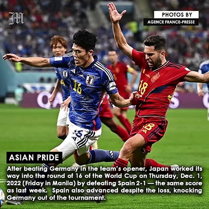 Asian pride