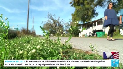 En Luisiana, la herencia francesa sigue viva y coleando