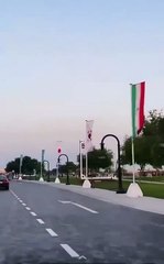 FIFA World Cup Qatar 2022: Highlights, Insights & More 🌍