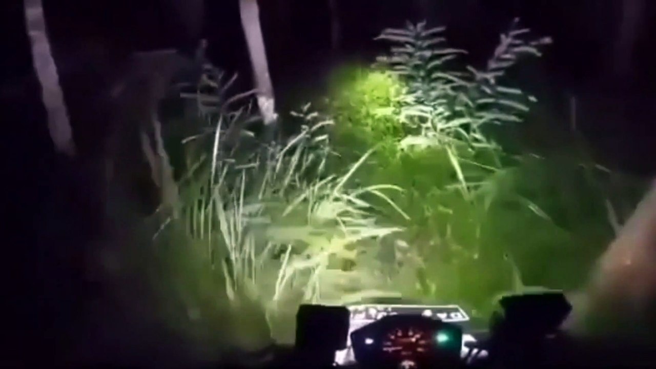 sosok wanita Mengerikan, scary ghost
