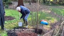 Tree of Trees Planting - Eastcliff Park, Teignmouth