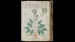 The VOYNICH MANUSCRIPT Explained: Most Mysterious Book Ever?