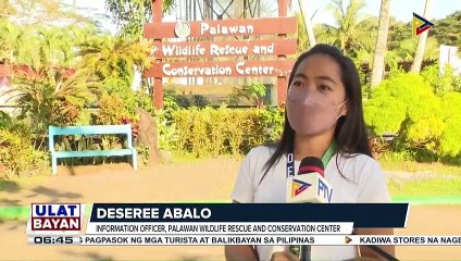 Mga pasyalan na hitik sa adventure at sulit sa panahon ng bakasyon sa Puerto Princesa, Palawan