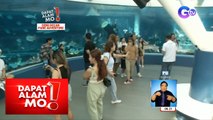 Ocean Park adventure sa Cebu, silipin! | Dapat Alam Mo!
