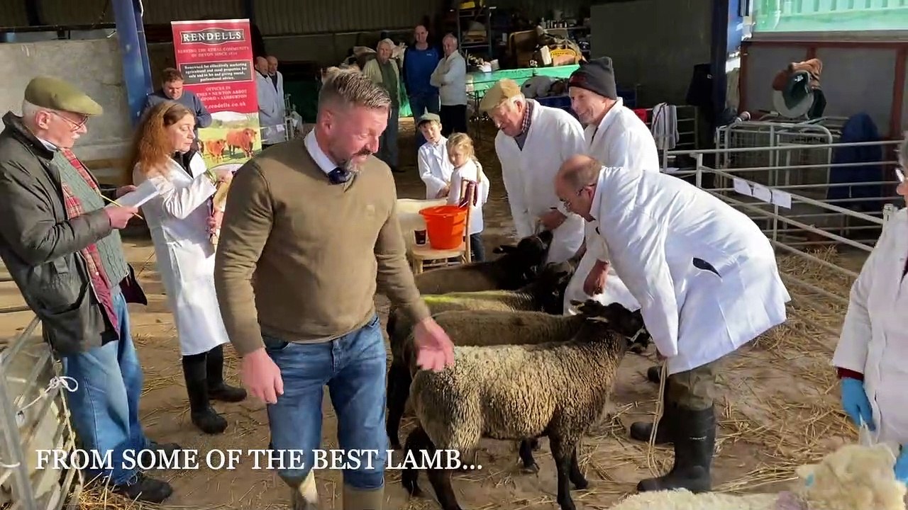 Newton Show