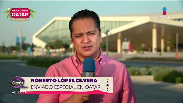 Yon de Luisa descarta renunciar a la Federación Mexicana de Fútbol