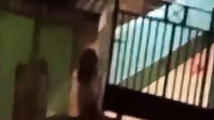 kuntilanak nyata
