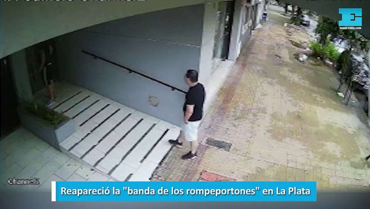 Reapareció la "banda de los rompeportones" en La Plata