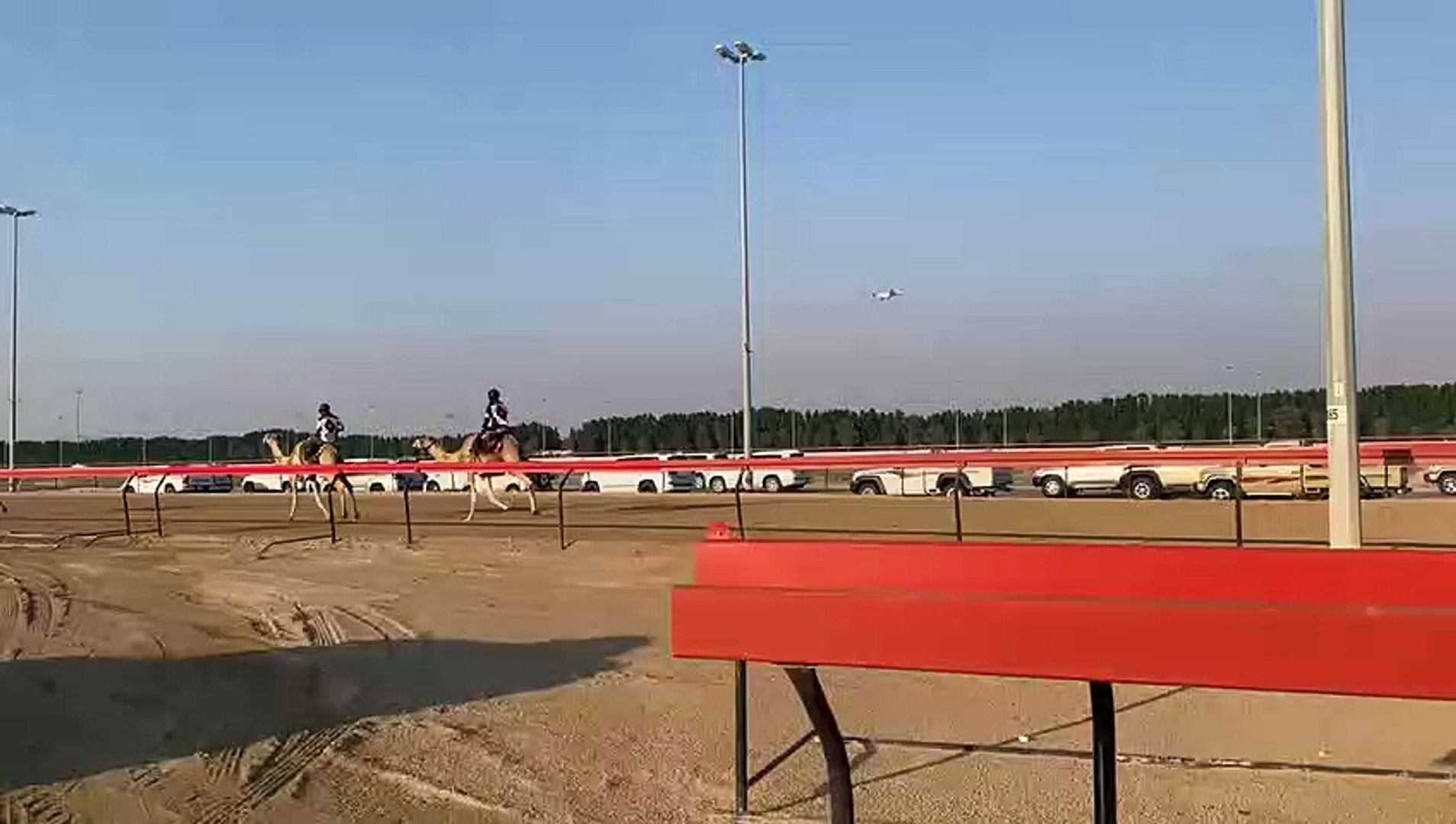 ⁣Camel racing