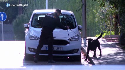 Llegan paquetes con restos de animales a las embajadas de Ucrania