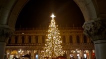 Natale a Venezia, il video dell'accensione dell'albero
