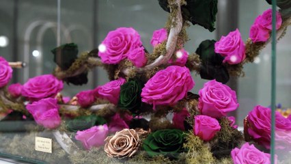 Aniversário Pedro Crispim