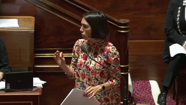 Voiture électrique : le Sénat réduit les aides à l’achat, en l’absence d’une filière française