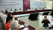 México no está condenado a la guerra: Rosa Icela Rodríguez